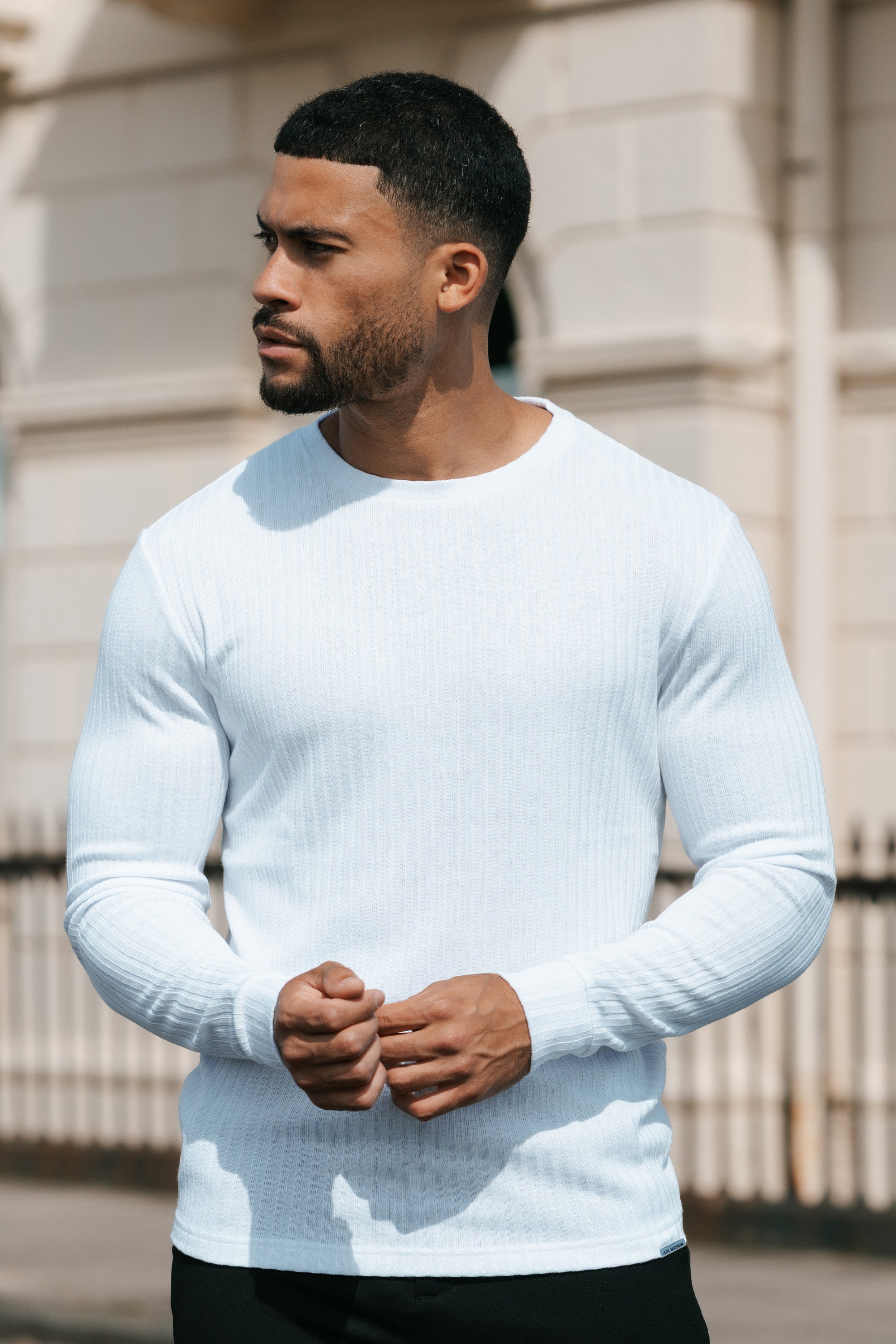 THE RIBBED CREWNECK SWEATER